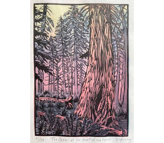 Cedar at the Heart of the Forest - Bill Reiswig